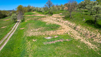 Prodej pozemku 8856 m², Košíky
