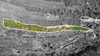 Prodej pozemku 8856 m², Košíky