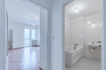 Prodej bytu 2+1 v osobním vlastnictví 93 m², Praha 3 - Vinohrady