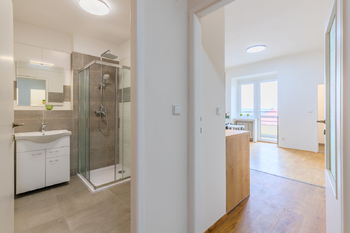 Prodej bytu 2+kk v osobním vlastnictví 55 m², Praha 3 - Vinohrady