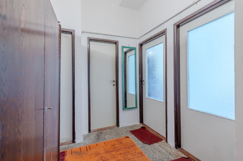 Prodej bytu 1+1 v osobním vlastnictví 45 m², Praha 3 - Vinohrady