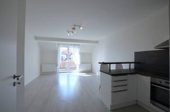 Pronájem bytu 1+kk v osobním vlastnictví 41 m², Holubice