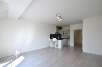 Pronájem bytu 1+kk v osobním vlastnictví 41 m², Holubice