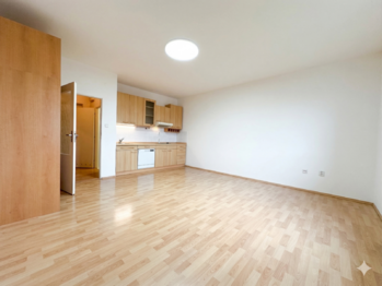 Pronájem bytu 1+kk v družstevním vlastnictví 31 m², Hostivice