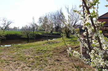 Prodej domu 232 m², Odrovice