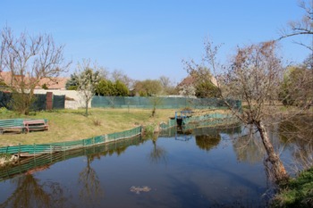 Prodej domu 232 m², Odrovice