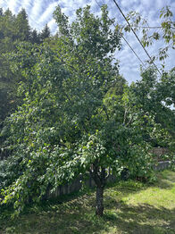 Prodej chaty / chalupy 745 m², Velké Karlovice