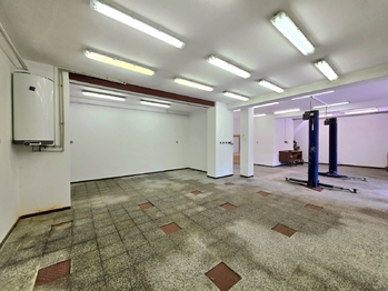 Prodej domu 302 m², Nepomyšl