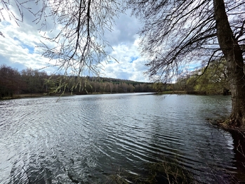 rybník - Prodej domu 302 m², Nepomyšl