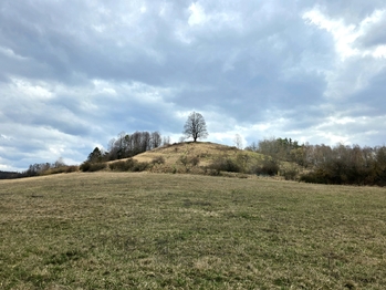 památná lípa - Prodej domu 302 m², Nepomyšl