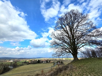 památná lípa - Prodej domu 302 m², Nepomyšl