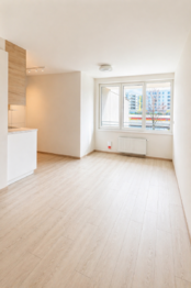 obývací část - Pronájem bytu 1+kk v osobním vlastnictví 39 m², Praha 9 - Vysočany