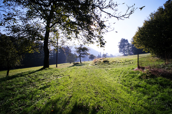 Prodej domu 150 m², Komorní Lhotka