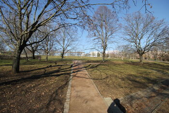 Pronájem bytu 2+1 v družstevním vlastnictví 53 m², Praha 10 - Malešice