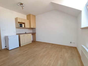 Pronájem bytu 1+kk v osobním vlastnictví 21 m², České Budějovice