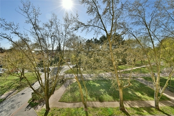 Prodej bytu 3+1 v osobním vlastnictví 80 m², Hradec Králové