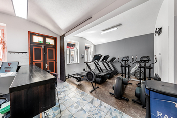 Prodej obchodních prostor 225 m², Praha 7 - Holešovice