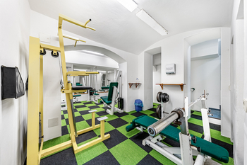 Prodej obchodních prostor 225 m², Praha 7 - Holešovice