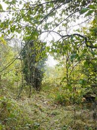 Prodej pozemku 1311 m², Mariánské Lázně