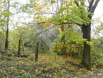 Prodej pozemku 1311 m², Mariánské Lázně