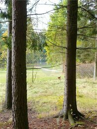 Prodej pozemku 1311 m², Mariánské Lázně