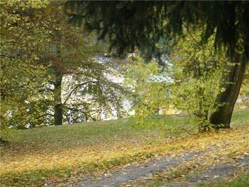 Prodej pozemku 1311 m², Mariánské Lázně