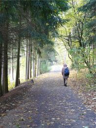 Prodej pozemku 1311 m², Mariánské Lázně