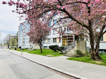 Prodej bytu 2+kk v osobním vlastnictví 43 m², Praha 4 - Háje