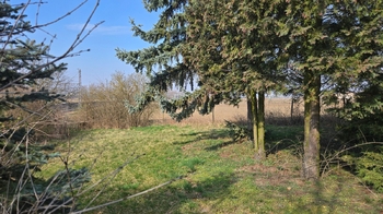 Zahrada - Pronájem chaty / chalupy 30 m², Přerov