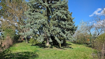 Zadní část zahrady - Pronájem chaty / chalupy 30 m², Přerov