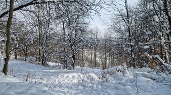 Prodej chaty / chalupy 164 m², Vsetín