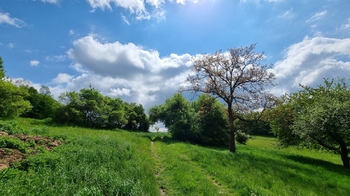 Prodej chaty / chalupy 164 m², Vsetín