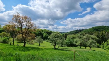 Prodej chaty / chalupy 164 m², Vsetín