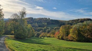 Prodej chaty / chalupy 164 m², Vsetín