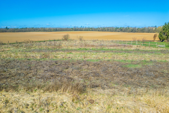 Prodej pozemku 11526 m², Úvaly