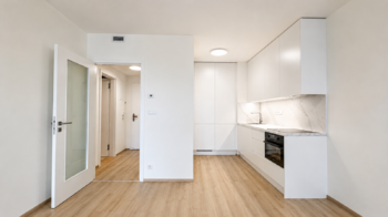 Pronájem bytu 1+kk v osobním vlastnictví 45 m², Praha 9 - Hloubětín