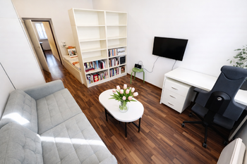 Pronájem bytu 2+kk v osobním vlastnictví 38 m², Praha 3 - Žižkov