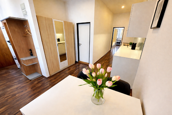 Pronájem bytu 2+kk v osobním vlastnictví 38 m², Praha 3 - Žižkov