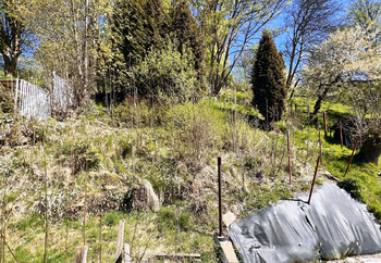 Zahrada - Prodej domu 95 m², Jáchymov