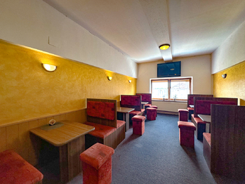 Prodej ubytovacího zařízení 500 m², Velké Pavlovice