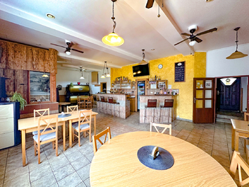 Prodej ubytovacího zařízení 500 m², Velké Pavlovice