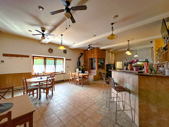 Prodej ubytovacího zařízení 500 m², Velké Pavlovice