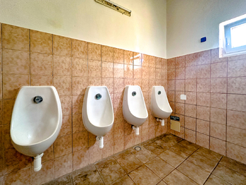 Prodej ubytovacího zařízení 500 m², Velké Pavlovice