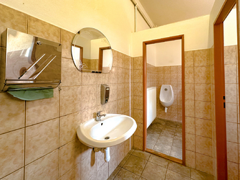 Prodej ubytovacího zařízení 500 m², Velké Pavlovice