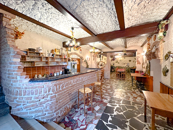 Prodej ubytovacího zařízení 500 m², Velké Pavlovice