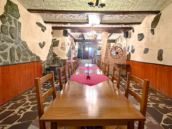 Prodej ubytovacího zařízení 500 m², Velké Pavlovice