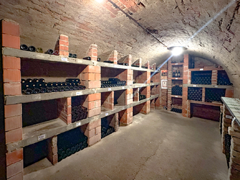 Prodej ubytovacího zařízení 500 m², Velké Pavlovice