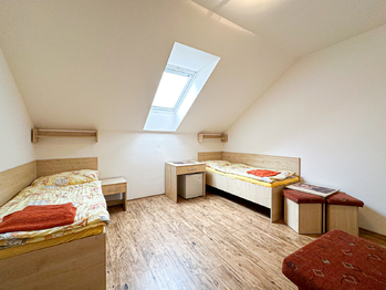 Prodej ubytovacího zařízení 500 m², Velké Pavlovice