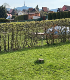 Výhled  - Prodej chaty / chalupy 25 m², Stráž nad Nisou