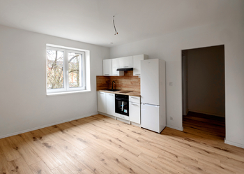 Pronájem bytu 1+1 v osobním vlastnictví 38 m², Ostrava